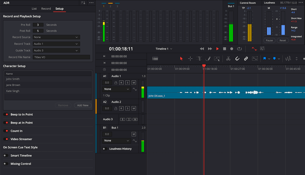 ADR Panel - DaVinci Resolve