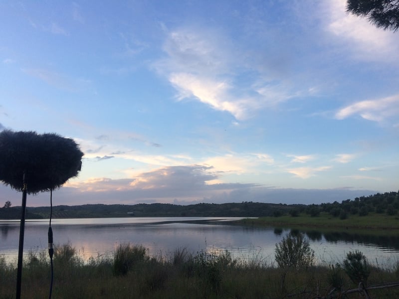 Field recording on the water