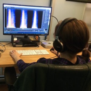 Jenn iZotope RX