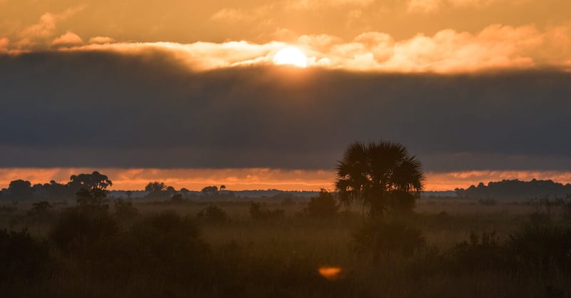 Kissimmee Prairie