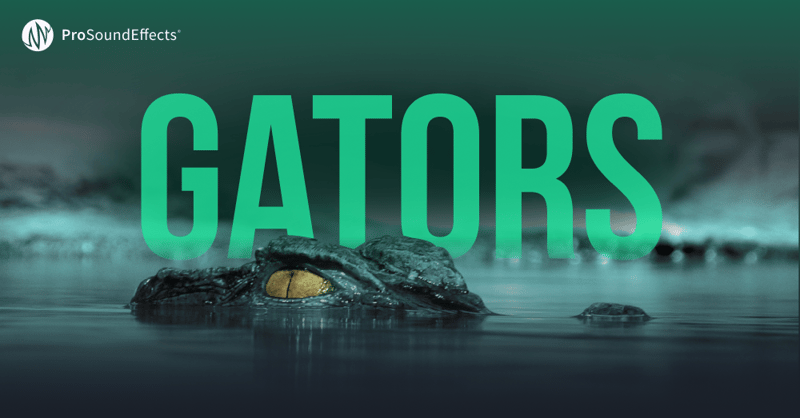 Gators