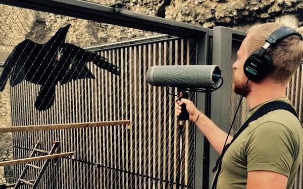 Enos Desjardins recording bird