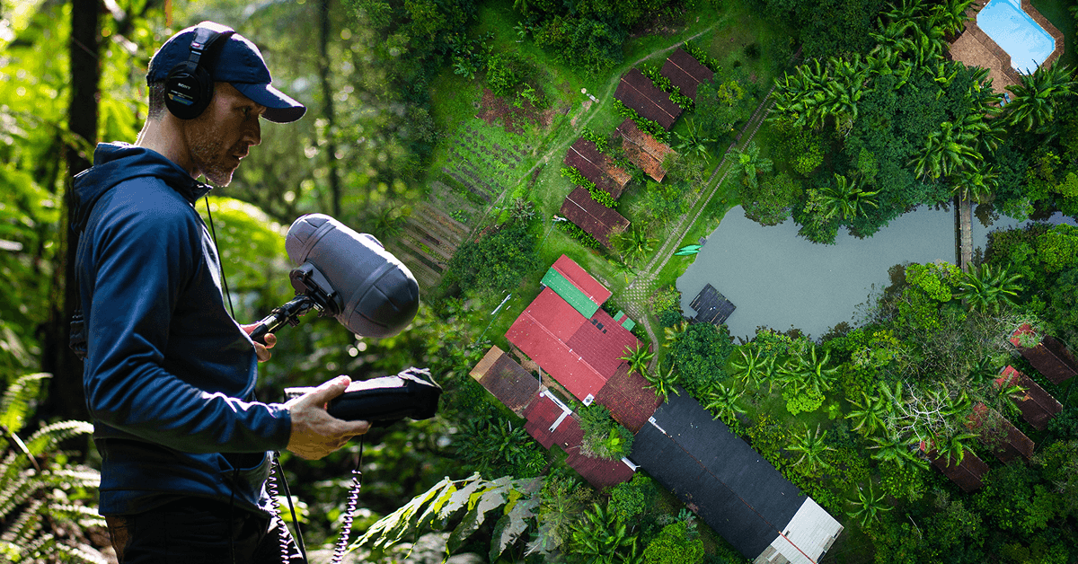 Field recording in the Brazilian Atlantic Rainforest