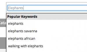 Elephant_search